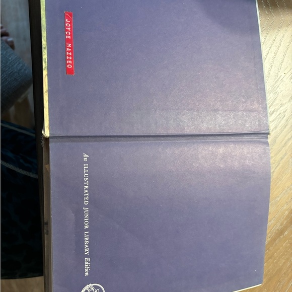 Illustrated Junior Library Grimm’s Fairytales - Picture 6 of 10